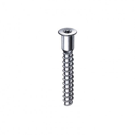 TORNILLO ENSAMBLAR 5X50 CINC.C/P 1641010500503 ABC
