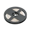 ROLLO 5 M.TIRA LED 53W 3200K 12V IP20 LD-3014-1200-20-CB LUZ CALIDA 10MM. GTV